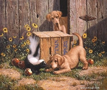 Fast & Effective Home Remedies to Remove Skunk Odor from Your Dog