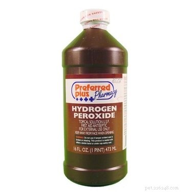 Fast & Effective Home Remedies to Remove Skunk Odor from Your Dog