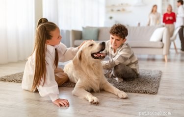 The Science Behind Why Animals Age Faster Than Humans