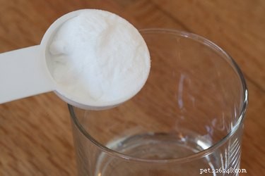 Effective Home Remedies to Eliminate Dog Tear Stains