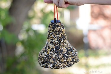 Effective, Non‑Toxic Ways to Keep Birds Out of Your Dog’s Food