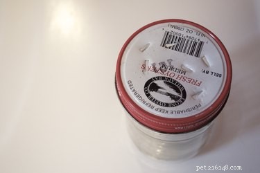 Dry Shampooing Your Dog or Cat: A Step‑by‑Step Guide