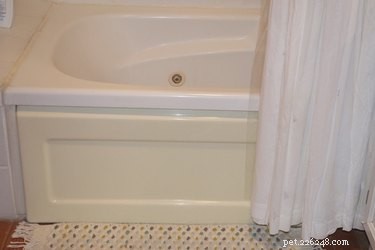 Dry Shampooing Your Dog or Cat: A Step‑by‑Step Guide