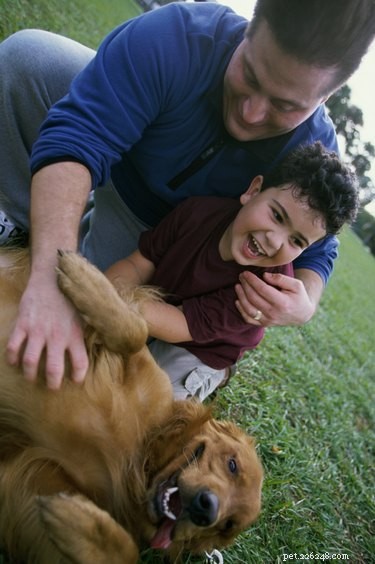 Avon Skin So Soft for Dogs: Safe, Chemical‑Free Flea & Tick Protection