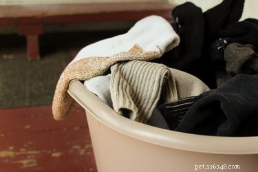 DIY Dog Boot Fabrication: A Complete Step‑by‑Step Guide