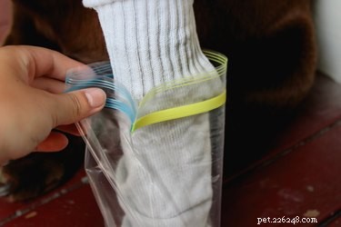 DIY Dog Boot Fabrication: A Complete Step‑by‑Step Guide