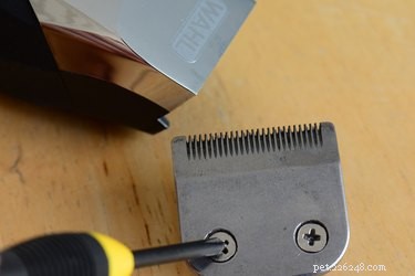 How to Properly Adjust Wahl Clipper Blades for Even, Safe Dog Haircuts