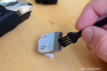How to Properly Adjust Wahl Clipper Blades for Even, Safe Dog Haircuts