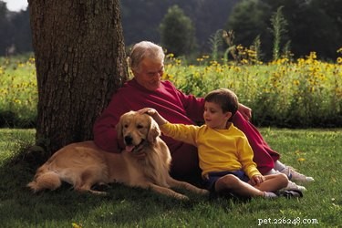 Designing a Dog-Friendly Backyard: Expert Tips for Pet‑Friendly Landscaping