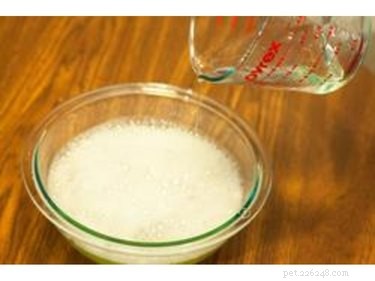 DIY Natural Dog Shampoo: Easy Homemade Formula