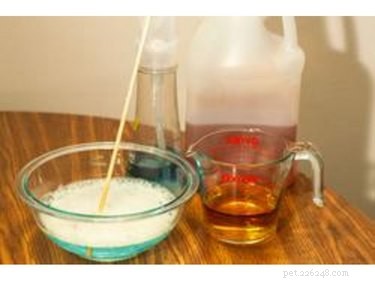 DIY Natural Dog Shampoo: Easy Homemade Formula