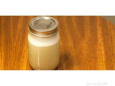 DIY Natural Dog Shampoo: Easy Homemade Formula