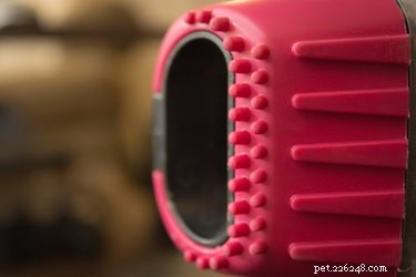 Effective Strategies to Reduce Dog Shedding: Tips for Cleaner Homes