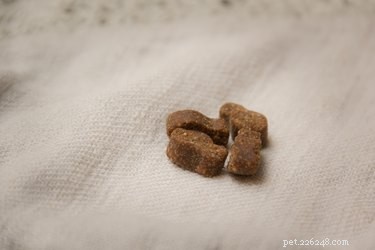 Effective Strategies to Reduce Dog Shedding: Tips for Cleaner Homes