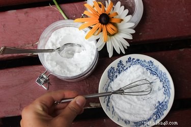 DIY Deodorant Powder for Dogs: A Safe, Natural Solution