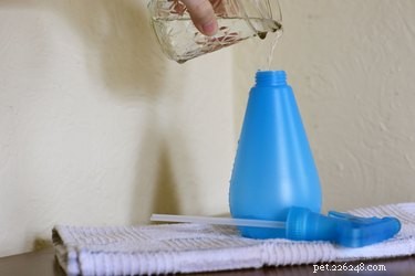 Create a Safe, Natural Dog Perfume Spray at Home