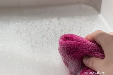 Safe and Effective Ways to Remove Paint from Your Dog’s Fur