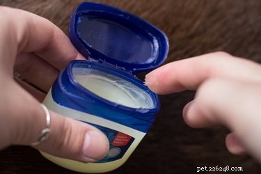Safe and Effective Ways to Remove Paint from Your Dog’s Fur