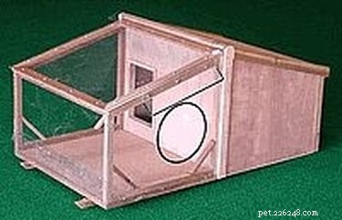 DIY Solar Dog House: Build a Safe, Eco-Friendly Shelter