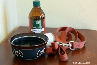 Apple Cider Vinegar for Pets: Safe Uses, Benefits, and Vet Guidance