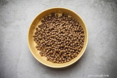 Create Premium Homemade Dry Dog Food: Easy, Safe, and Affordable Guide
