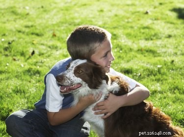Step‑by‑Step Guide to Landing Your Dog in TV Commercials