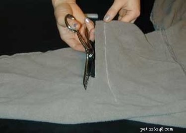 DIY Dog Sweatshirt: Step‑by‑Step Guide to a Cozy, Custom Coat