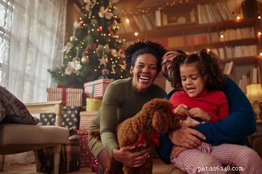 Protect Your Pet on New Year s Eve: Safety Tips for Dogs & Cats