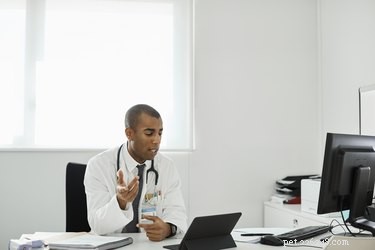 Virtual Vet Appointments: A Comprehensive Guide to Veterinary Telemedicine