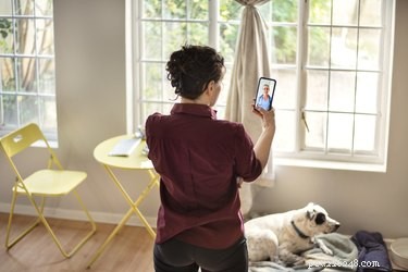 Virtual Vet Appointments: A Comprehensive Guide to Veterinary Telemedicine