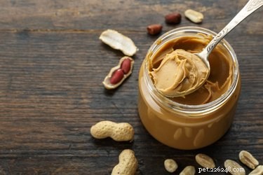 Are Nutter Butters Safe for Dogs? A Comprehensive Guide