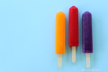 Can Dogs Eat Popsicles? Expert Guide on Safe Treats