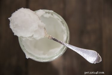 Coconut Oil for Dogs: Safe Uses, Dosage, and Precautions