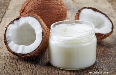 Coconut Oil for Dogs: Safe Uses, Dosage, and Precautions