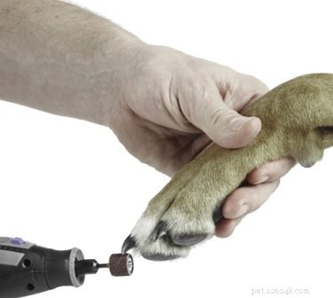 Expert Guide: Choosing the Right Dog Nail Grinder – Insights from a Professional Groomer