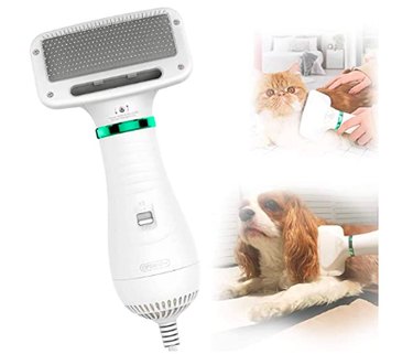 Top Vet‑Approved Grooming Products for Hypoallergenic Dogs