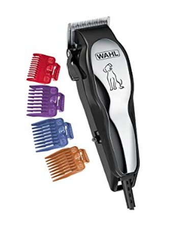 Top Vet‑Approved Grooming Products for Hypoallergenic Dogs