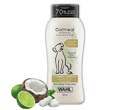 Top Vet‑Approved Grooming Products for Hypoallergenic Dogs