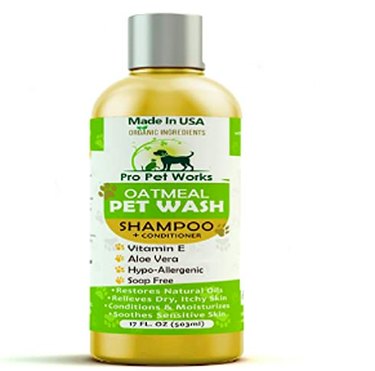 Top Vet‑Approved Grooming Products for Hypoallergenic Dogs