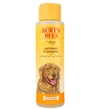 Top Vet‑Approved Grooming Products for Hypoallergenic Dogs