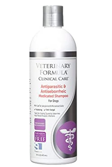 Top Vet‑Approved Grooming Products for Hypoallergenic Dogs