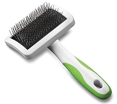 Top Groomer‑Recommended Tools for Home Care Between Visits