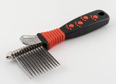 Top Groomer‑Recommended Tools for Home Care Between Visits