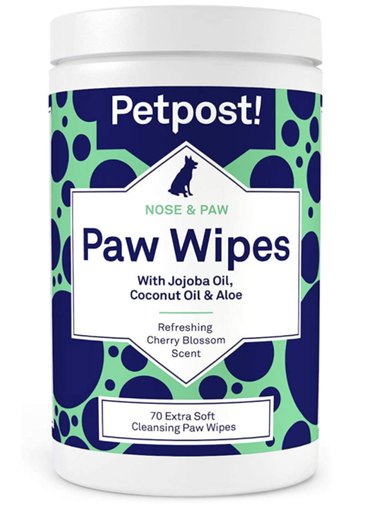 Top Groomer‑Recommended Tools for Home Care Between Visits