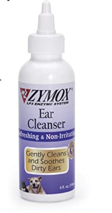 Top Groomer‑Recommended Tools for Home Care Between Visits