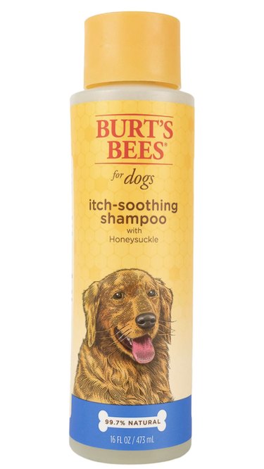 Top Groomer‑Recommended Tools for Home Care Between Visits