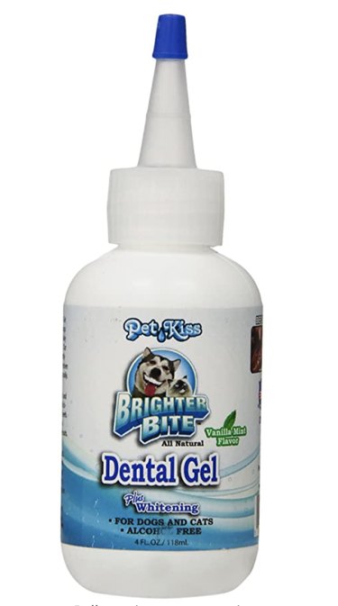 Top Groomer‑Recommended Tools for Home Care Between Visits