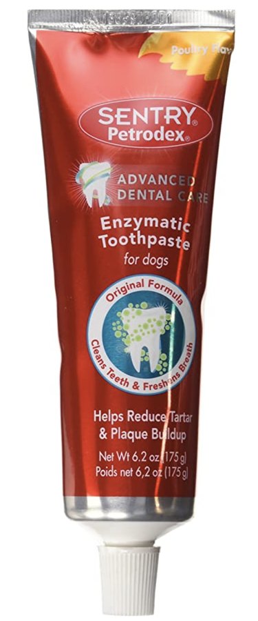 Top Groomer‑Recommended Tools for Home Care Between Visits