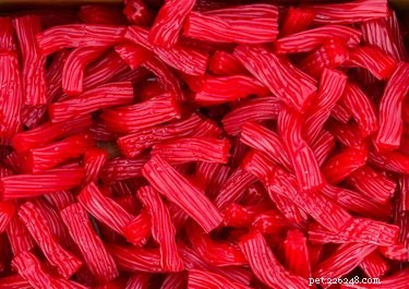 Is Licorice Safe for Dogs? A Comprehensive Guide