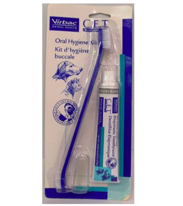 Vet-Approved Guide to Essential Dog Dental Care